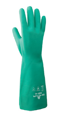 730